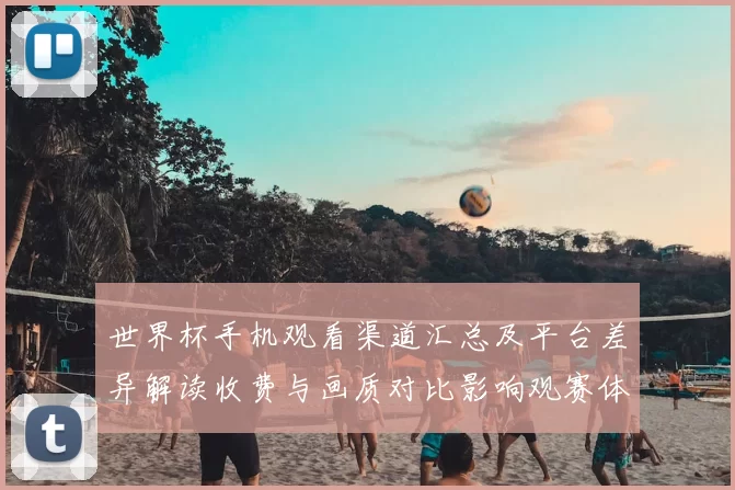 世界杯手机观看渠道汇总及平台差异解读收费与画质对比影响观赛体验