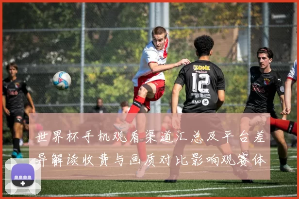 世界杯手机观看渠道汇总及平台差异解读收费与画质对比影响观赛体验