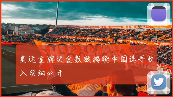 奥运金牌奖金数额揭晓中国选手收入明细公开