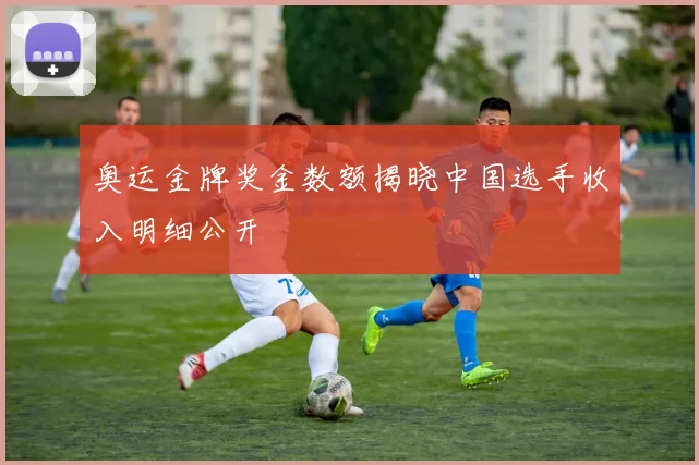 奥运金牌奖金数额揭晓中国选手收入明细公开